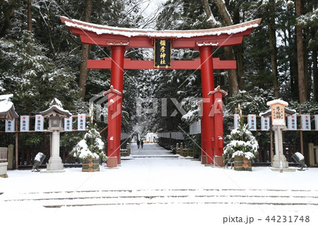 弥彦神社　正月　冬 44231748