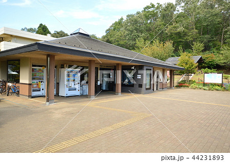 私立相原中央公園の秋は 町田市の写真素材