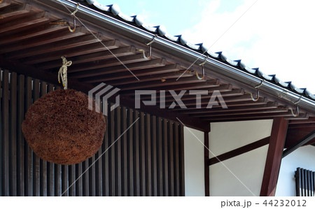 酒屋の杉玉 44232012