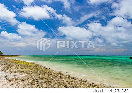 沖縄竹富島 カイジ浜 星砂 沖縄竹富島 カイジ浜 星砂 44234589