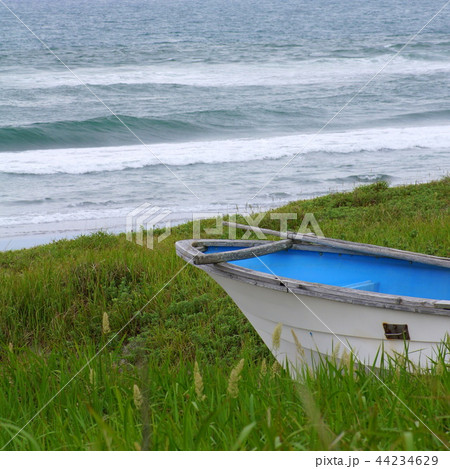 梅雨の晴れ間の中田島砂丘 44234629