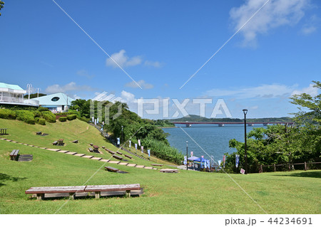 夏の浜名湖 44234691