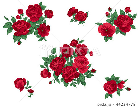 赤いバラのブーケとモチーフのイラスト素材
