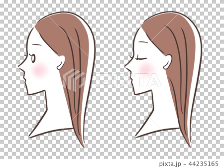 女性 横顔 セット 女性 横顔 セット 44235165