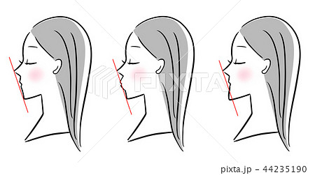 タイプ別 女性 横顔のイラスト素材