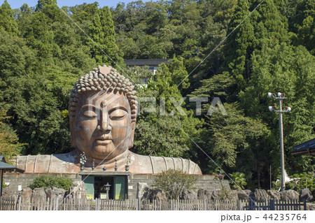 ハニベ巌窟院 44235764