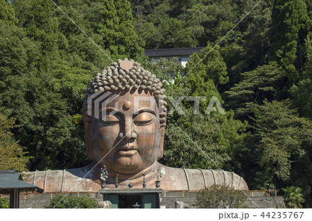 ハニベ巌窟院 44235767