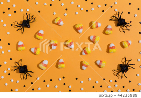 Halloween spiders overhead view 44235989