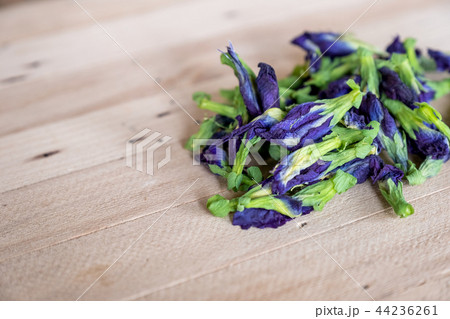 Butterfly pea, Blue pea dried flower Butterfly pea, Blue pea dried flower 44236261