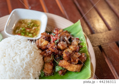 Crispy pork fried Basil leaf with Jasmine rice Crispy pork fried Basil leaf with Jasmine rice 44236311