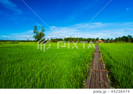 100 year-old wooden bridge at Khonburi district, Nakhon Ratchasi 100 year-old wooden bridge at Khonburi district, Nakhon Ratchasi 44236474