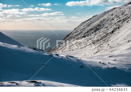 Snowy slope mountain on arctic coastline Snowy slope mountain on arctic coastline 44236635