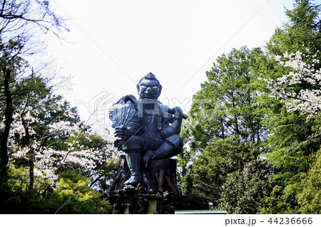 天狗山　古井の天狗山 44236666