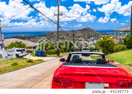 《ハワイ》丘から眺めるダイヤモンドヘッド・オアフ島 44236773