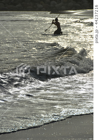 海沿い 海浜 44237216