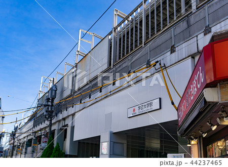 駅前風景 学芸大学駅 駅前風景 学芸大学駅 44237465