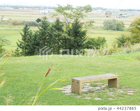 北海道の秋の風景とベンチ 北海道の秋の風景とベンチ 44237865