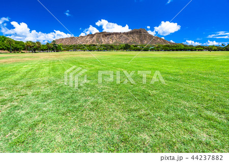 《ハワイ》ダイヤモンドヘッド・カピオラニ公園 《ハワイ》ダイヤモンドヘッド・カピオラニ公園 44237882