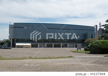 愛知県体育館（ドルフィンアリーナ） 44237908