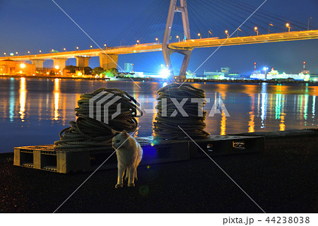 【工場夜景】 潮見埠頭 海猫 トリトン 【工場夜景】 潮見埠頭 海猫 トリトン 44238038