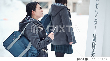 センター試験を受ける女子高生 センター試験を受ける女子高生 44238475
