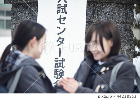 センター試験を受ける女子高生 センター試験を受ける女子高生 44238553
