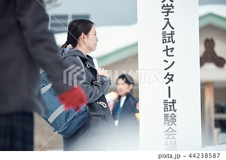 センター試験を受ける女子高生 センター試験を受ける女子高生 44238587