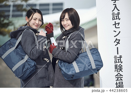 センター試験を受ける女子高生 センター試験を受ける女子高生 44238605