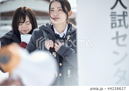 センター試験を受ける女子高生 センター試験を受ける女子高生 44238627