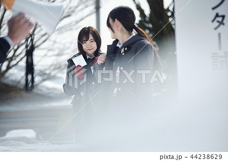 センター試験を受ける女子高生 センター試験を受ける女子高生 44238629