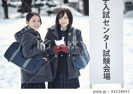 センター試験を受ける女子高生 センター試験を受ける女子高生 44238645