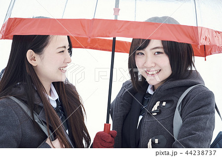 雪国の女子高生 44238737