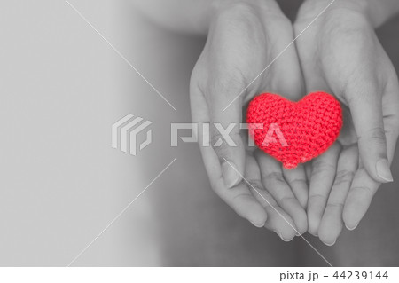 heart in girl hand for giving share love 44239144