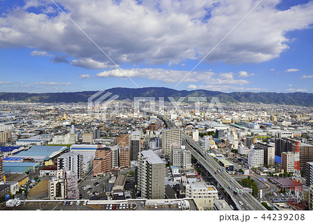 東大阪市 44239208