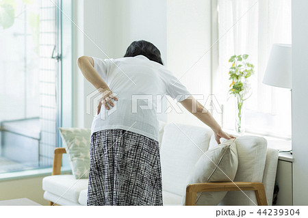 中年女性　腰痛 44239304