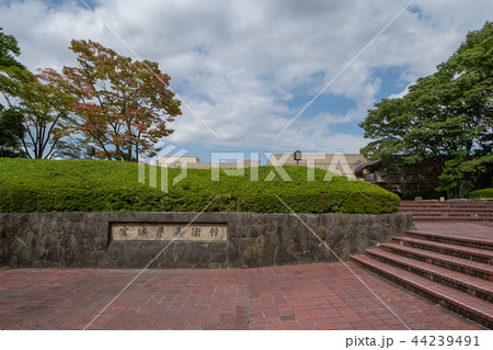 宮城県美術館 44239491