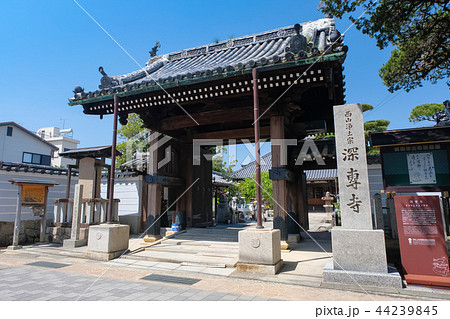 湯浅町 深専寺 山門 44239845