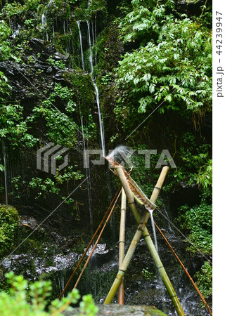 安曇野の延命水 44239947