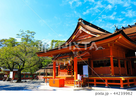 富士山本宮浅間大社 44239962