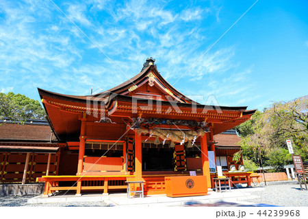 富士山本宮浅間大社 富士山本宮浅間大社 44239968