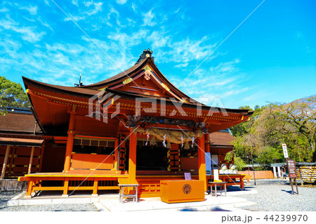富士山本宮浅間大社 富士山本宮浅間大社 44239970