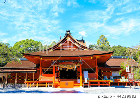 富士山本宮浅間大社 44239982