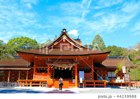 富士山本宮浅間大社 44239988