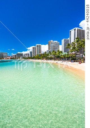 《ハワイ》ワイキキビーチ・バカンス 《ハワイ》ワイキキビーチ・バカンス 44240016