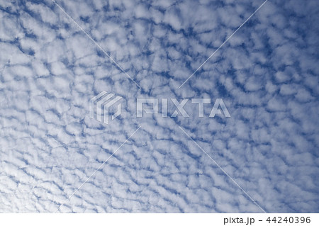 秋の雲 巻積雲 秋の雲 巻積雲 44240396