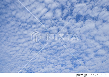 秋の雲　巻積雲　 44240398
