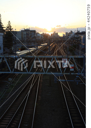 中野、中央線の夕暮れ 44240759