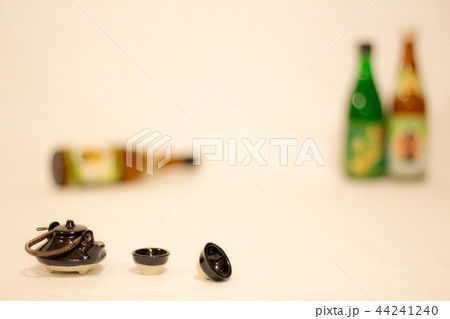 忘年会イメージ　新年会イメージ　飲み会　女子会 44241240