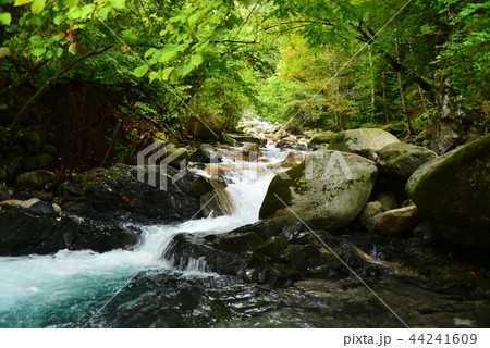 烏川渓谷の清流 烏川渓谷の清流 44241609