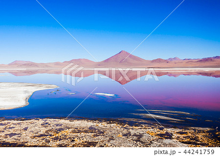 Laguna Colorada lake Laguna Colorada lake 44241759
